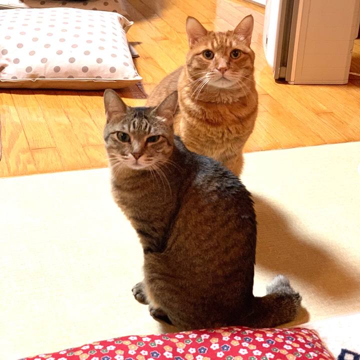 Fa4076f3 27ab 4576 b83b 9028e9db13f5 1581856856739