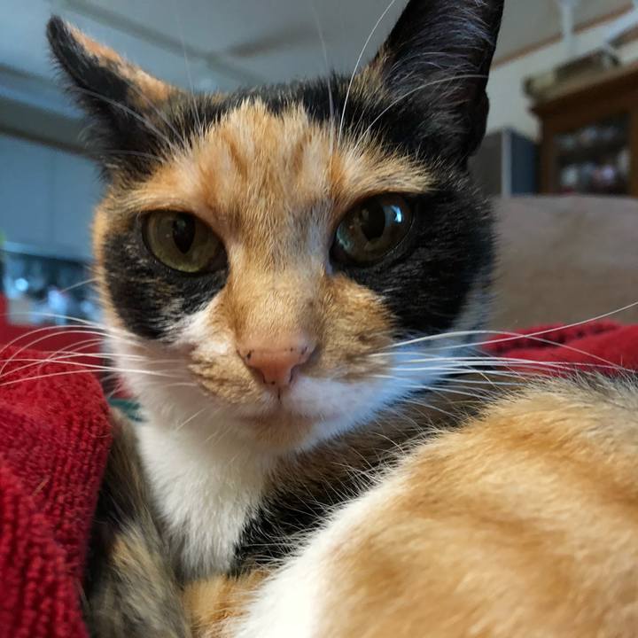 Fa407c20 e294 47ed 9013 ae26b12fef30 1524872904975