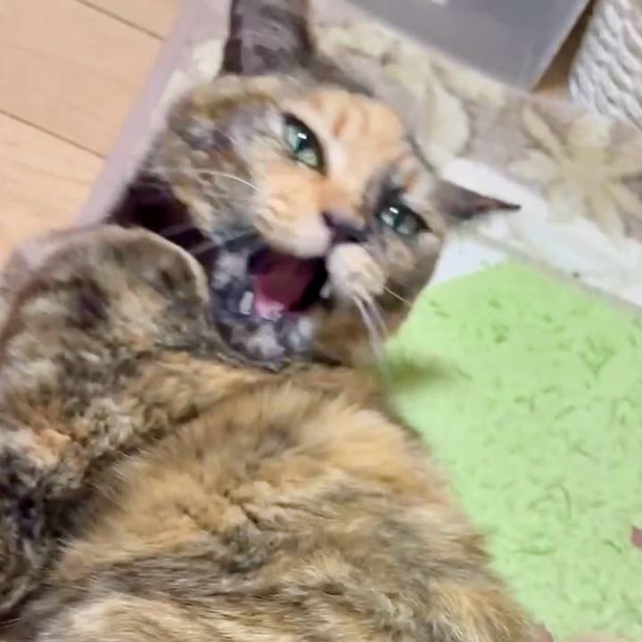 Fa407ece b547 42c3 803d 024322ba8a7f 1769633386796