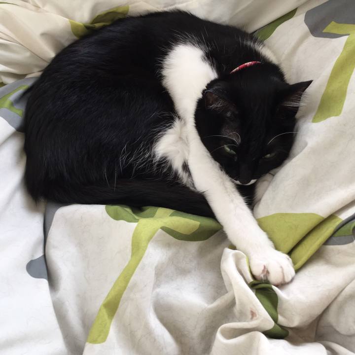 Fa408fa7 ad73 4a48 abad 5487c94d86e2 1527482947630