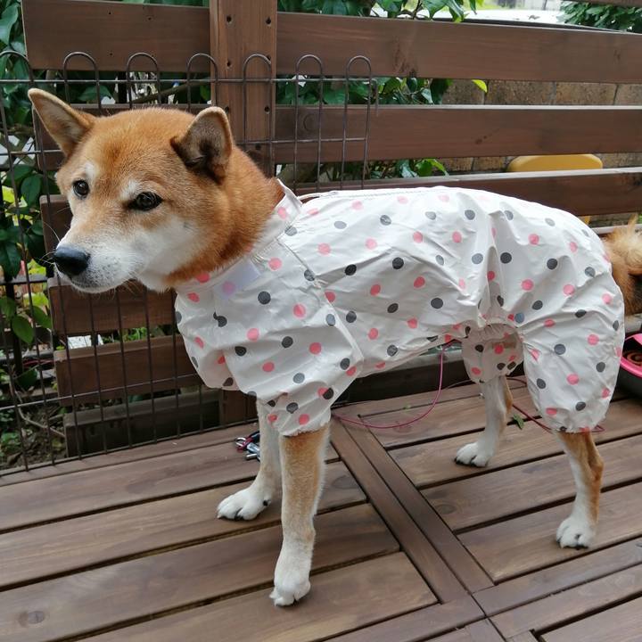 Fa40c2d9 be11 45cc 8731 62bf43b16bea 1604288275208