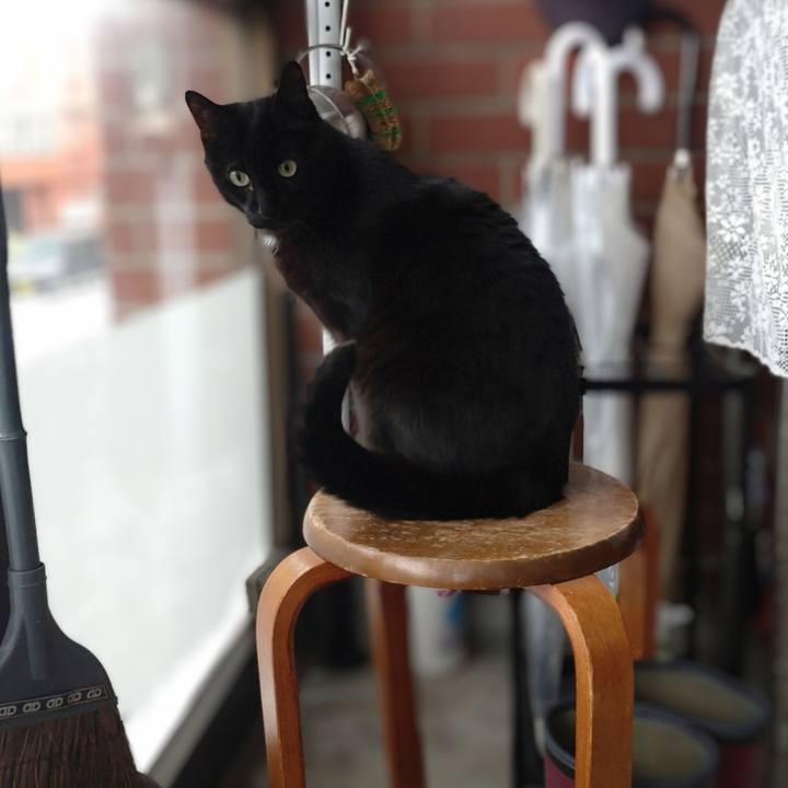 Fa40da61 96e5 4bef 978f 7bf46e3dcdb3 1742696687223