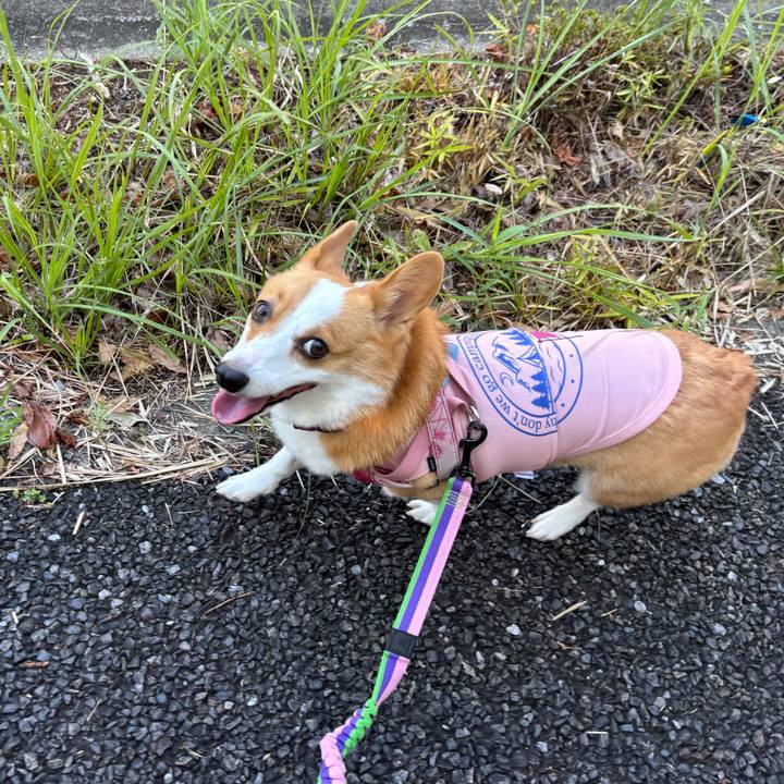 Fa40ea7a 17b4 4e74 9191 380923ca31c8 1757204706629