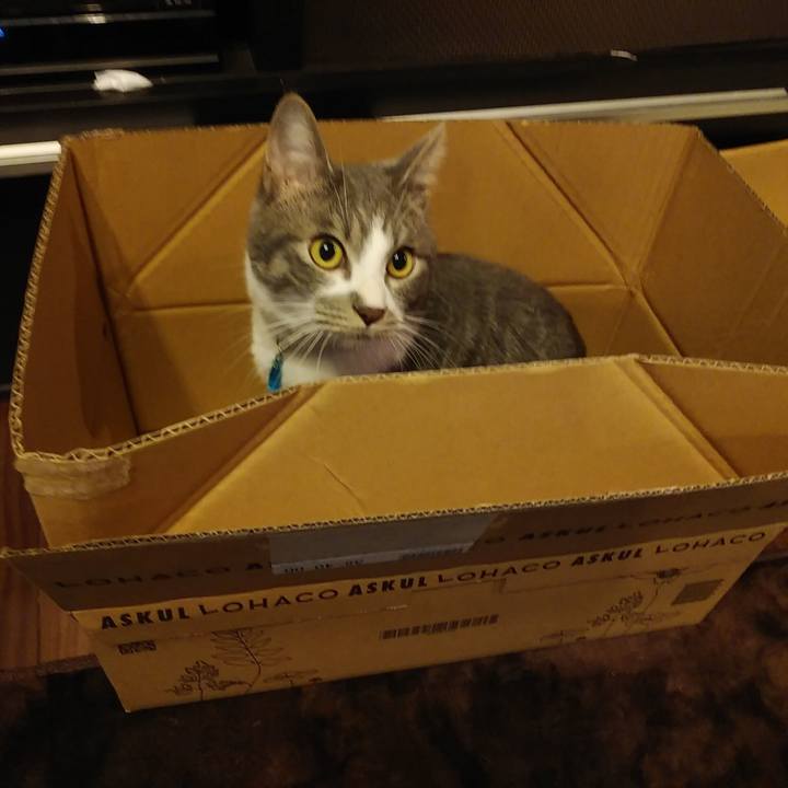 Fa411776 b8e5 4ba5 b3e8 31d84b32284b 1578988409088