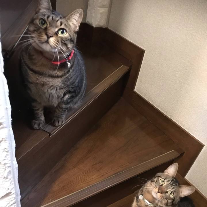 Fa412969 ff98 4526 bb37 45b958a4d00f 1575288425925