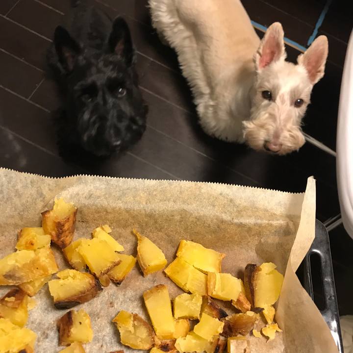 Fa4170fe bf60 49f9 9db0 1531b86517f0 1551792611321