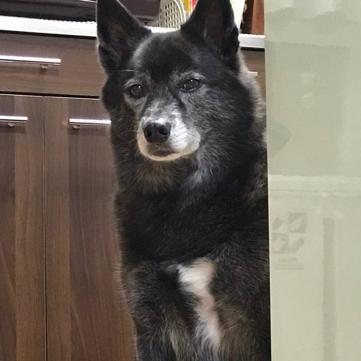 Fa41bd23 2ec2 414b 9c58 e981208086ad 1535289002227