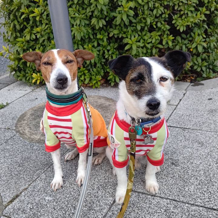 Fa41cc7e 5de8 4a36 9ee2 c24e0412a9e9 1710550390875