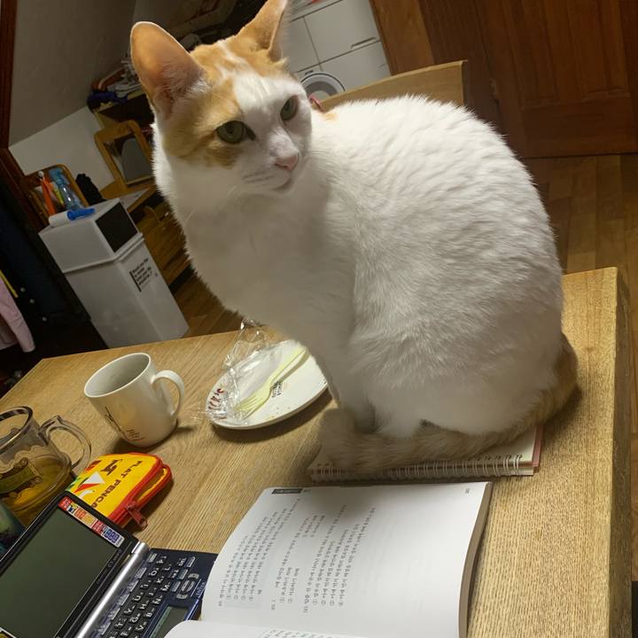 Fa41cfd2 99d5 43f9 85e1 90bf6e576fa3 1617204191333