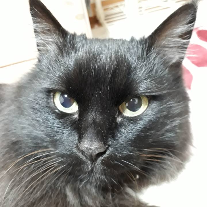 Fa41d1b7 6cb9 431d ba85 480d03213761 1523707591350