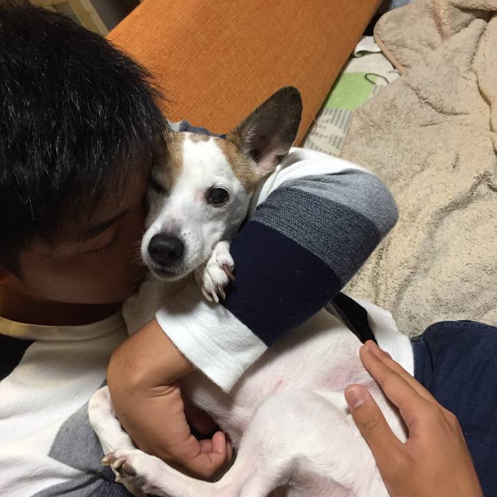 Fa41d568 c8bc 4049 b120 5157ed4e0836 1526215334722