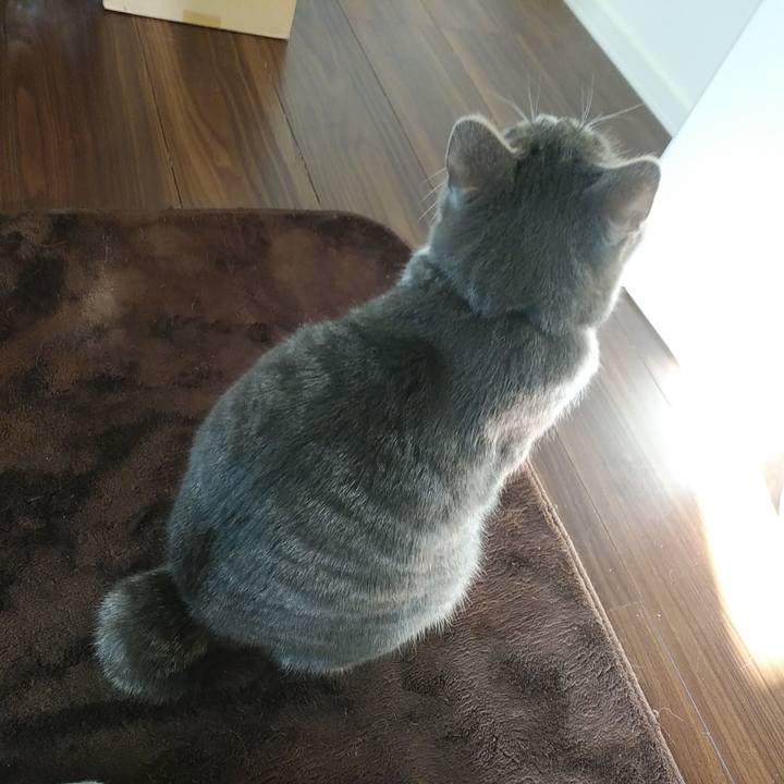 Fa41f5d9 4165 4a18 8535 9e4ae7613673 1582500945895