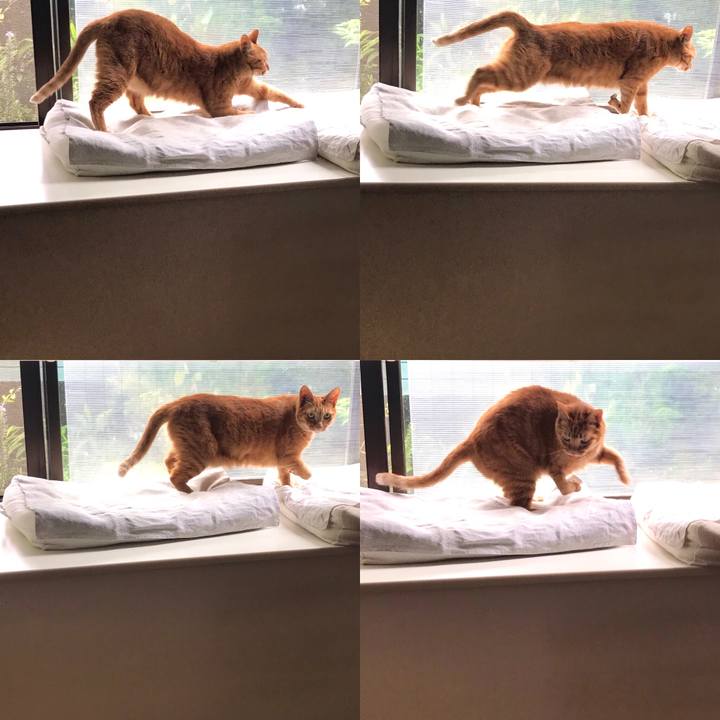 Fa420472 04dd 4d7a 93dc 6b4e05a44895 1595399068076