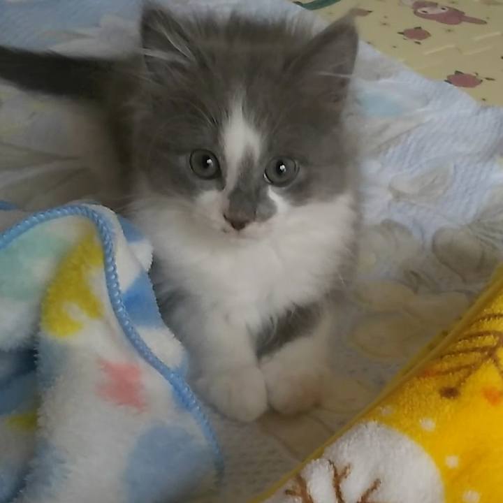 Fa420dff 2c3c 4cf8 a479 61a3fcd39e5a 1561256824087