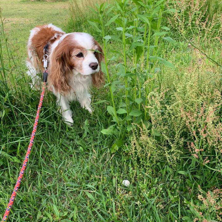 Fa42487b 0d4f 497b 9a29 b111b864a734 1622584110433