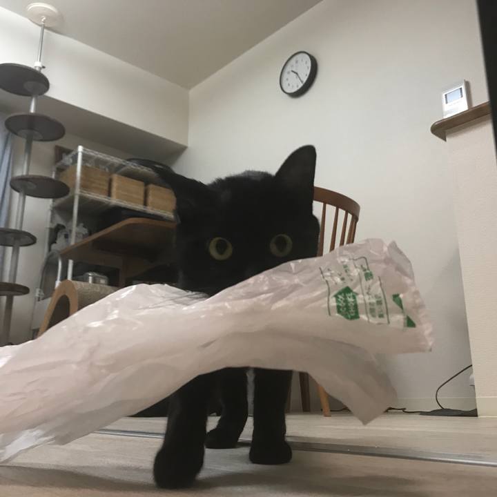 Fa4259cf 8518 4dee 83f1 fe9eaf229ea8 1508596108232