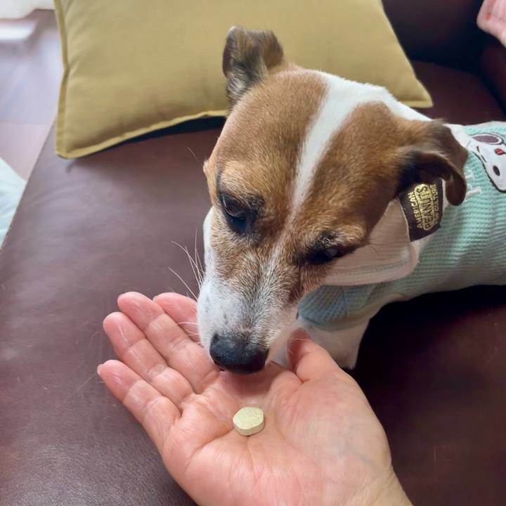 Fa425a31 c2db 4e17 af3e d212ff91fda0 1759290427780