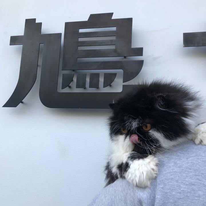 Fa426349 fd18 49c0 a7d5 c3bbd4b5db62 1743339074187