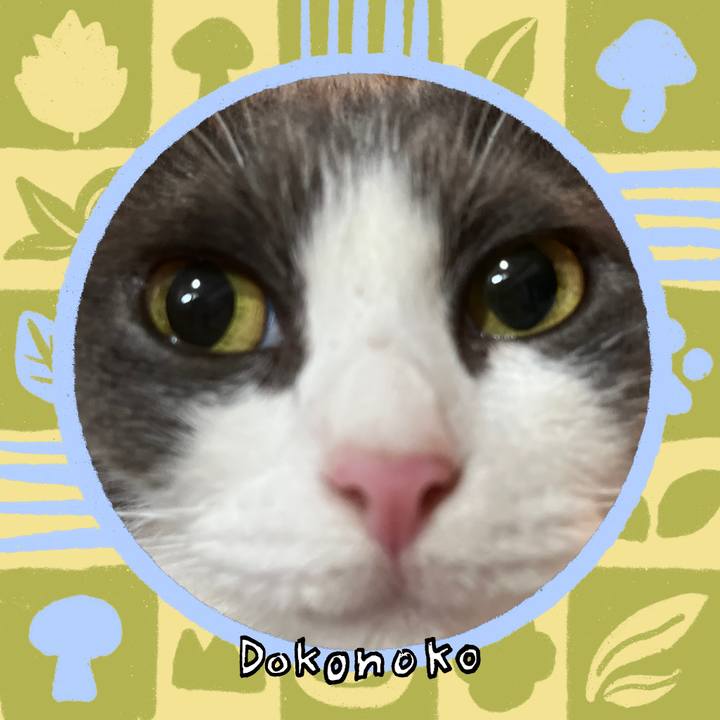 Fa427d82 66dd 49f9 b584 a774455cc88b 1761438056472