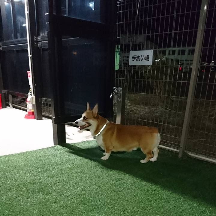 Fa42a860 b98f 4c56 9d6a ff8c0c5aee1c 1601977958618