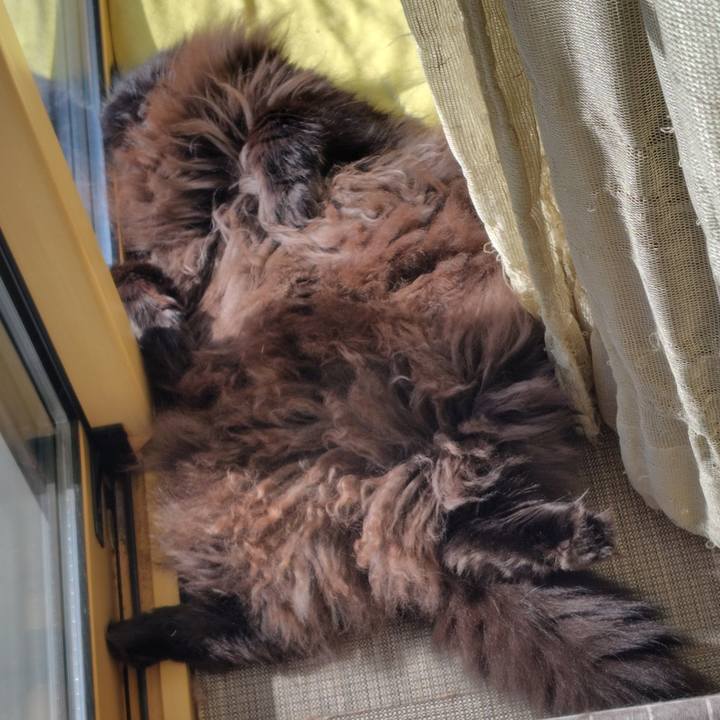 Fa42baf0 381f 4e17 8b1a 8ddeeef19c0e 1729481371412