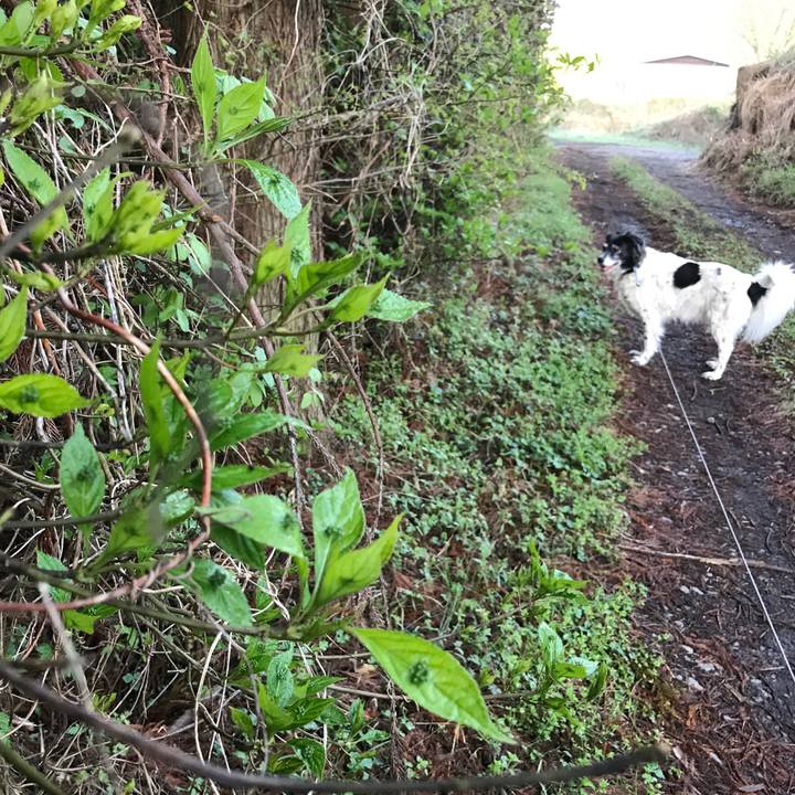 Fa42d36a afb5 46d8 b383 5c1ae34a8e28 1524146437811