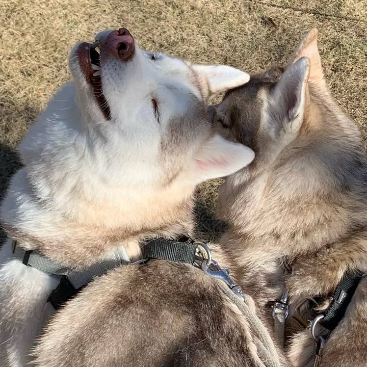 Fa436d6b 8a48 425c be76 a511b6b46beb 1609642789844