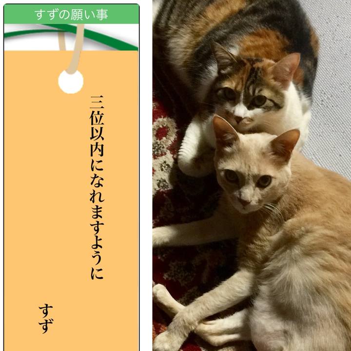 Fa439d19 0830 4177 9e57 46bfd9ed3713 1720338967656