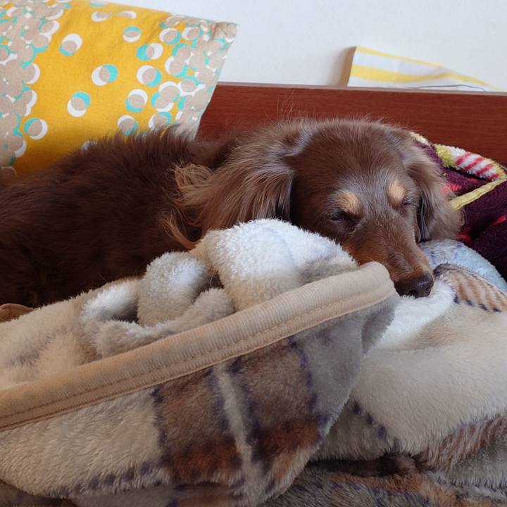 Fa43d620 4e6b 43c3 b6e7 7f7a7d7a3c1e 1731464639351