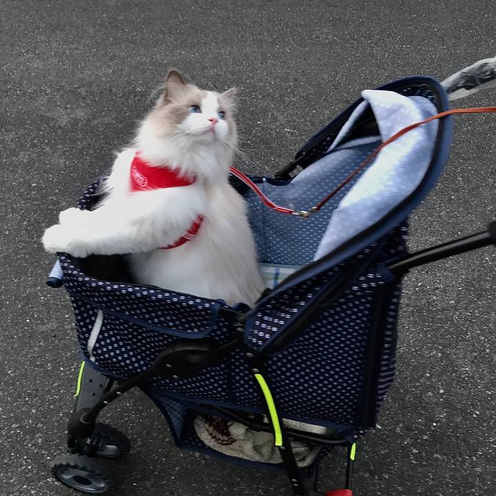 Fa43f014 6f18 45f2 9849 95bd98c779e1 1598355616791