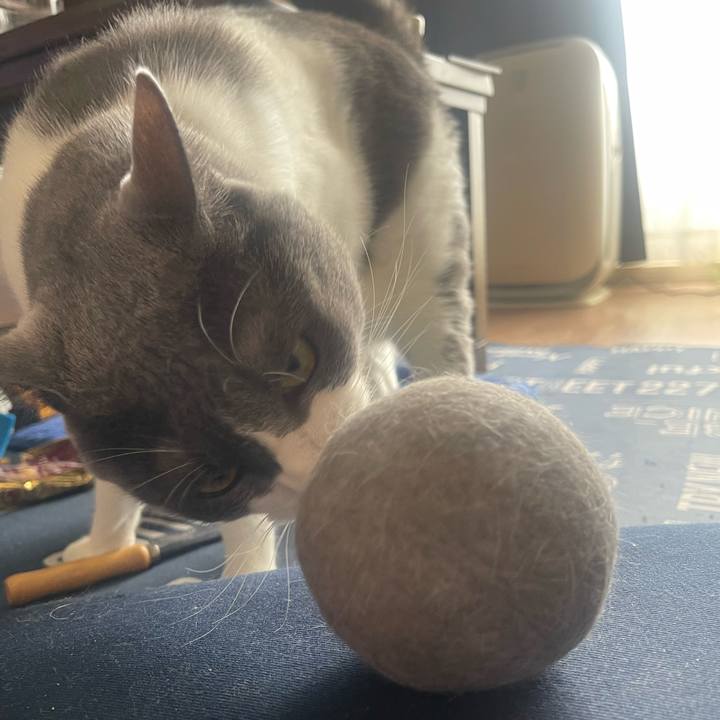 Fa44055b 07c1 453a 90ca da1045a4a417 1725154163455