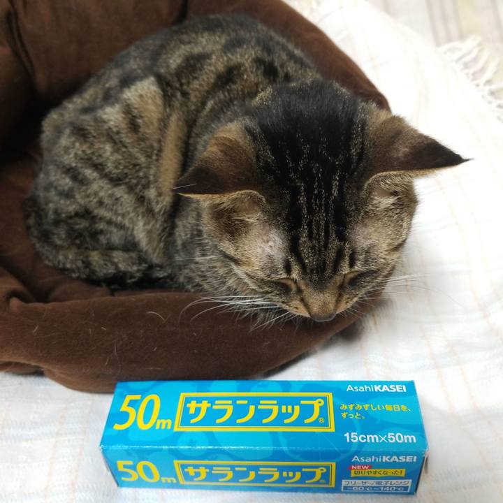 Fa4429a4 7dcb 446a 8311 5ac90049ad65 1585603844790