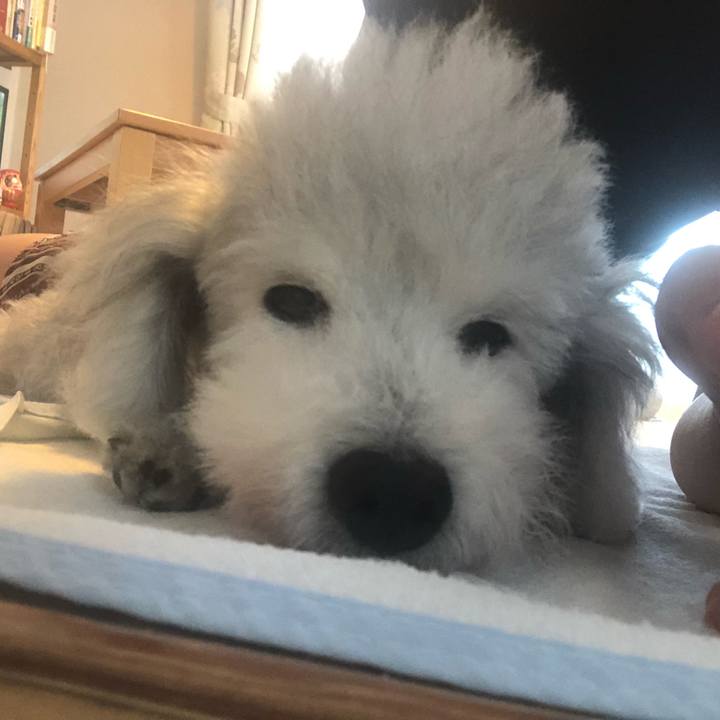 Fa443737 1a8e 4a7b 9fc0 c610b02fc08c 1628208847360