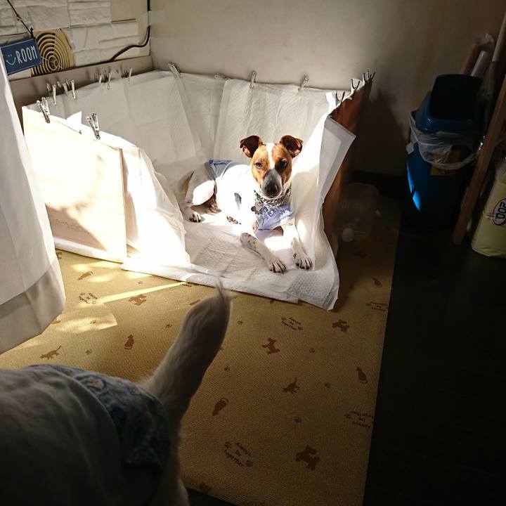 Fa44508f b006 491e 8097 9b1a216021f8 1588634324921