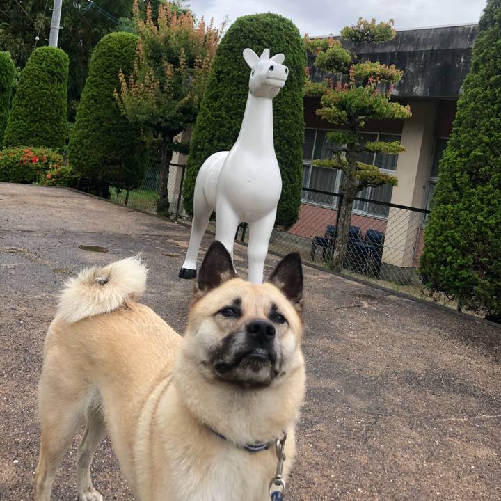 Fa449582 ddeb 4749 8363 5353528f1256 1592034754656