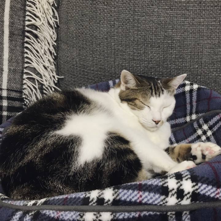 Fa44ca12 dbe4 40fd 9045 69c1a8985f42 1541214759021