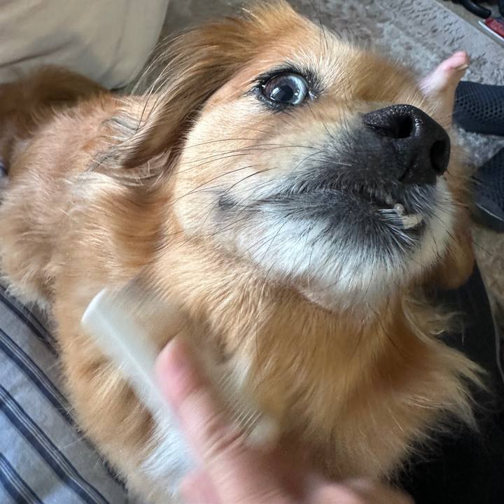 Fa44f337 057d 4b56 817f c87f9bbeb42b 1715893925996