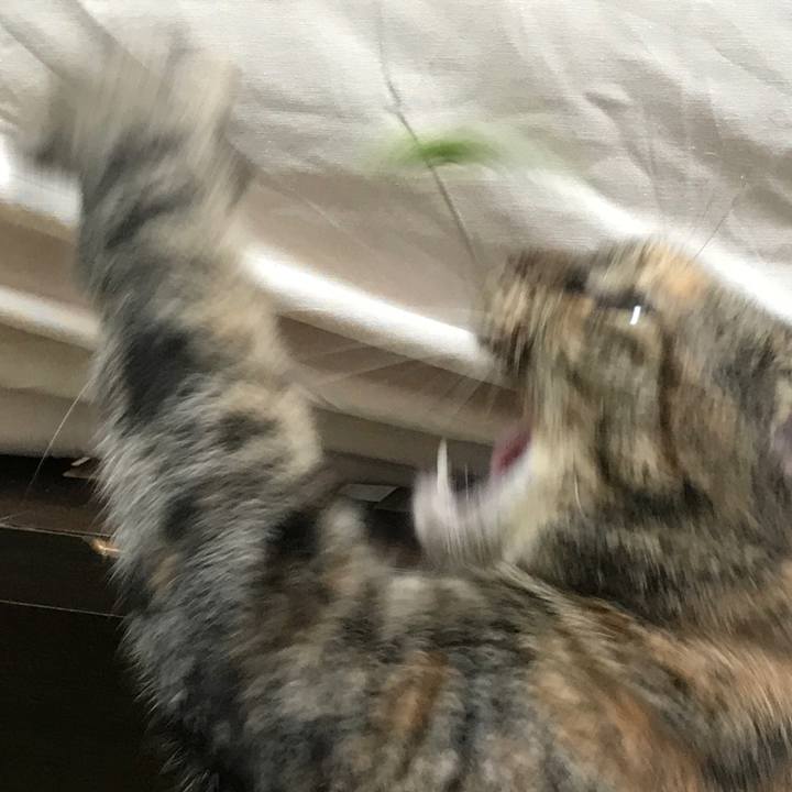 Fa451e5d 34e3 45cb 833a 0dcbabb258c9 1531634333282