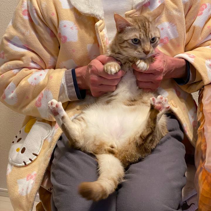 Fa45c73c 347e 41db b525 2897fdbd7141 1645793711852