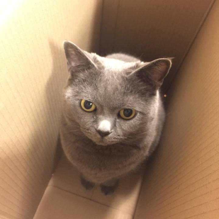 Fa4617d9 36ab 415c b06c 5e4fc02e8e98 1527947283723