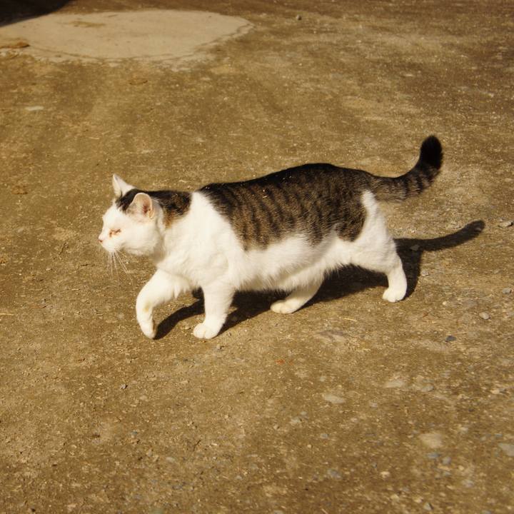 Fa462f0c 09f1 467f 9cc8 dfcb8c9a6c70 1515061786787