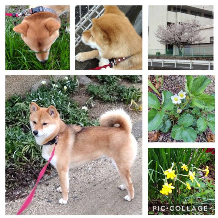 Fa46495a 569f 4464 9549 ffeb6a3de9f7 1648683876968