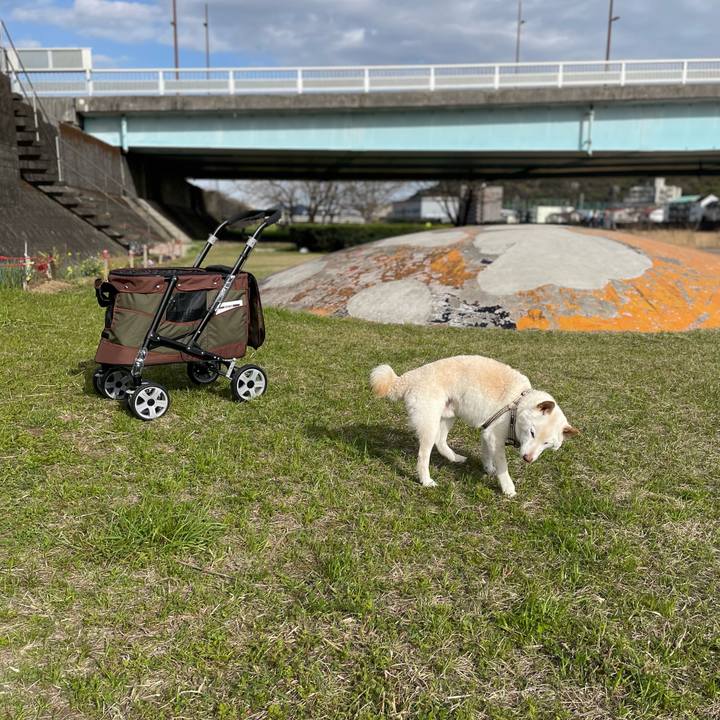 Fa4674f6 828a 446d bb77 eb98634b3190 1647781770154