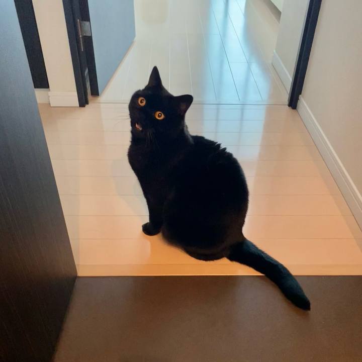 Fa46832e 7981 4b2f b10b 0980b10a02ad 1763947370306