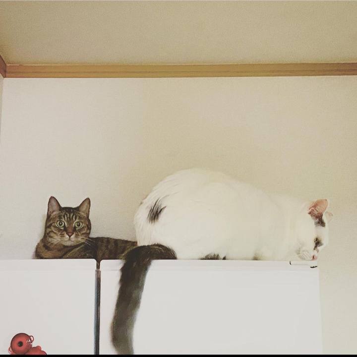 Fa468a0c ab0b 44c8 be84 cb5b485f64b3 1625906024533