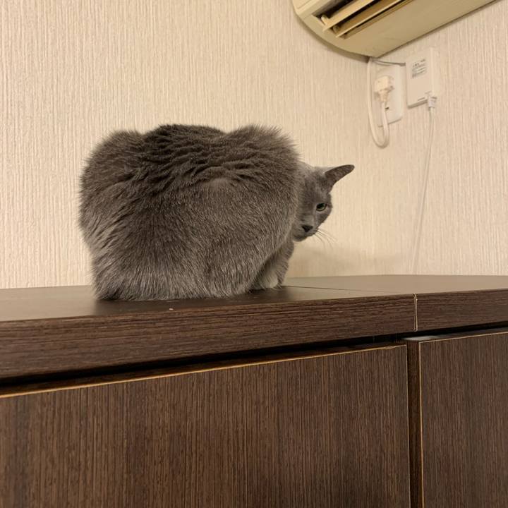 Fa469116 f2a0 4e8f 8a41 0f66cff92d95 1644315050528