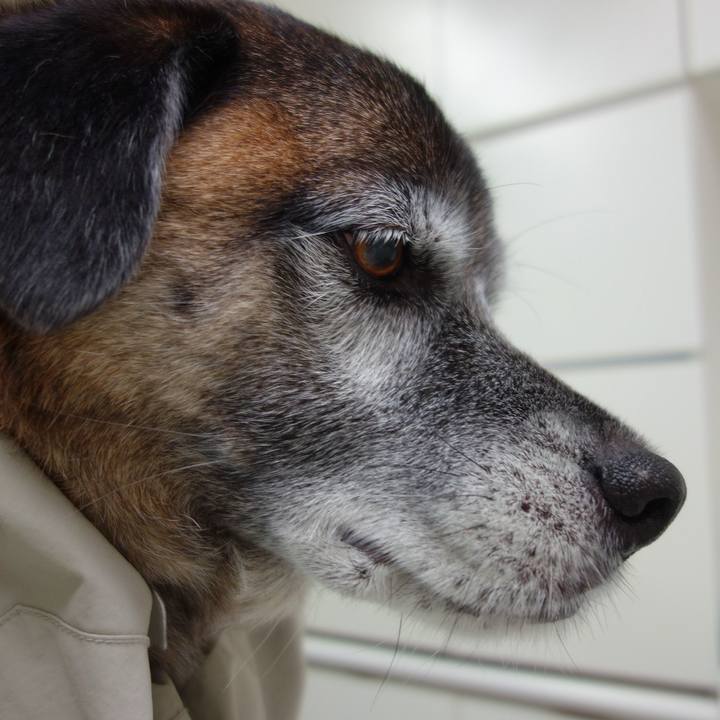 Fa46a541 30e5 475c 9bdc 06463a322b96 1543066113528