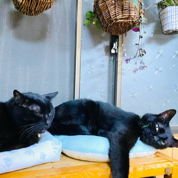 Fa46a81c bd81 425c 99c8 8b11b4c1ae58 1717422490640