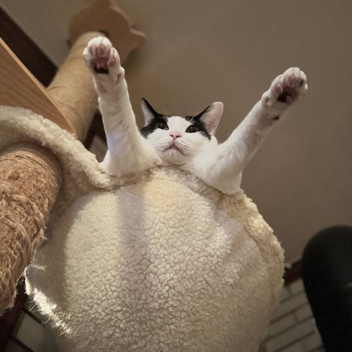 Fa46ba87 a5c2 457b b3fb 2e0801f7c745 1763034637550