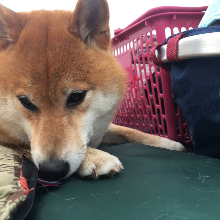 Fa46ccfb e835 4e1b 82fe 25544a6bad88 1565556301212